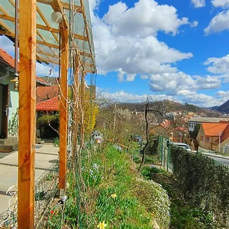 Apartment Kuschmann Brasov