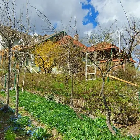 Kuschmann Apartment Brasov
