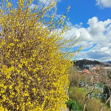 Kuschmann