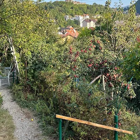 Kuschmann Brasov