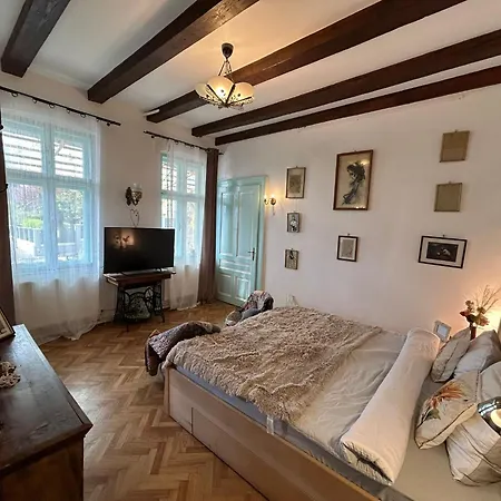 Kuschmann Brasov