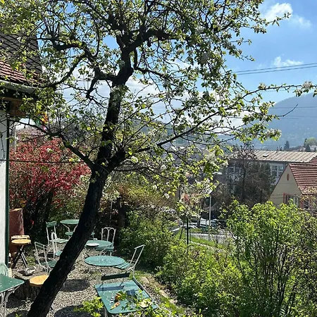 Kuschmann Brasov